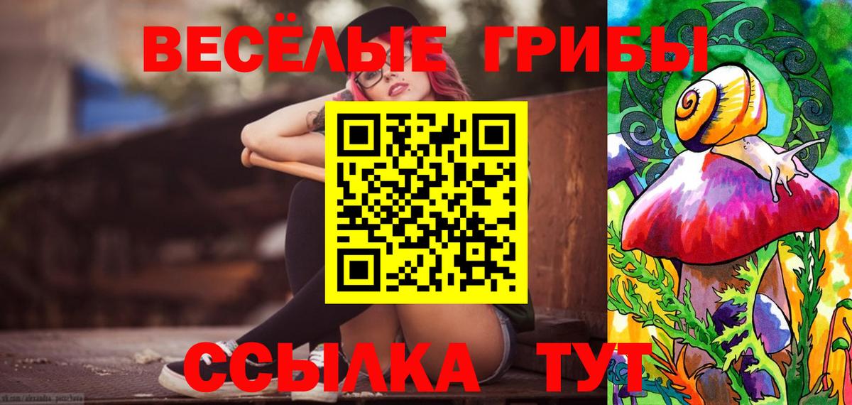 Псилоцибиновые грибы Psilocybine cubensis Усть-Джегута
