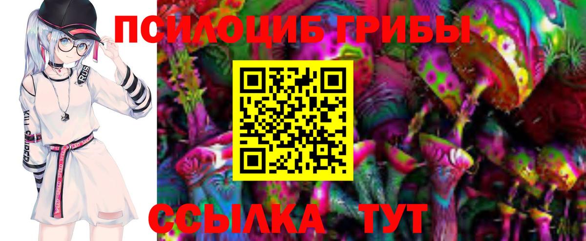 Галлюциногенные грибы GOLDEN TEACHER  Вход с VPN  даркнет сайт  Усть-Джегута 